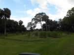 2045 Ne 7th St Okeechobee, FL 34972 - Image 3961724