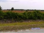 3967 NW 23 AVE Okeechobee, FL 34972 - Image 4201714