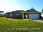 3271 BLUFFVIEW DR Spring Hill, FL 34609 - Image 4235251
