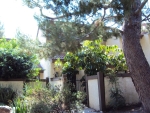 21515 Erwin St,6 Woodland Hills, CA 91367 - Image 4308021