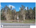2800 BUCK RIDGE TR Loxahatchee, FL 33470 - Image 4364873