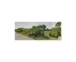 24480 SW 207 AV Homestead, FL 33031 - Image 4380708