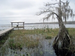 1800 Lake Disston Dr Bunnell, FL 32110 - Image 4449520
