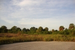 26457 VINTON CT Lots 25 &amp; 26 Punta Gorda, FL 33983 - Image 4568605