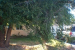 9942 S Lockhart Rd French Camp, CA 95231 - Image 4587067