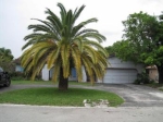 11023 Glenwood Dr Pompano Beach, FL 33065 - Image 4643840