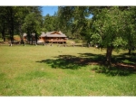 20394 Highway 26 West Point, CA 95255 - Image 4830392