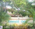 3532 GREEN LEAF CR # 1906 Hollywood, FL 33021 - Image 4919515