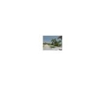 212 W SARATOGA BL West Palm Beach, FL 33411 - Image 4945905
