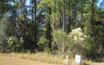 LOT 4 MIDDLETON PLANTATION Waverly, GA 31565 - Image 4978083