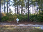 61  LONE PINE COURT LOT Waverly, GA 31565 - Image 4978106