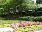 Unit 3306 - 4333 Dunwoody Park Atlanta, GA 30338 - Image 5122664