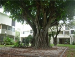 1916 SW 17 AV # 34 Miami, FL 33145 - Image 5195296