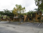 1045 S Flagler Ave Apt 709 Pompano Beach, FL 33060 - Image 5232019