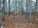 3930 Floyd Road Austell, GA 30106 - Image 5306417