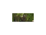 1869 SW 15 ST Miami, FL 33145 - Image 5396495