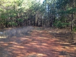 7 4 Mile Church Road Ball Ground, GA 30107 - Image 5417570