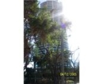 2127 BRICKELL AV # 1804 Miami, FL 33129 - Image 5488172
