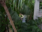 2000 TOWERSIDE TE # 506 Miami, FL 33138 - Image 5488226