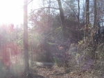 0 Bates Lane Acworth, GA 30102 - Image 5549498