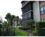 3800 N HILLS DR # 408 Hollywood, FL 33021 - Image 5648453