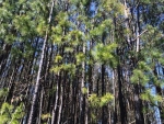 0 Coppermine Road Temple, GA 30179 - Image 5970843