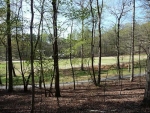 2743 Turnbury Lane Jasper, GA 30143 - Image 5985365