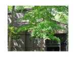 Unit 434 - 434 Disharoon Ridge Jasper, GA 30143 - Image 5986407
