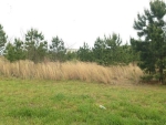 4368 Sudderth Road Buford, GA 30518 - Image 6038922