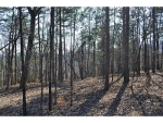 330 Bluestern Drive Se Jasper, GA 30143 - Image 6085116