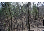 2569 Wilderness Parkway Jasper, GA 30143 - Image 6085479