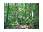 7024 Monument Falls Jasper, GA 30143 - Image 6086571