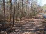 0 Dooley Road Dallas, GA 30132 - Image 6088903