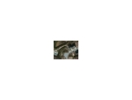 2756 Dolostone Way Dacula, GA 30019 - Image 6147730