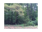 3173 S Elizabeth Drive Douglasville, GA 30135 - Image 6156944