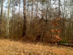 Acres Hwy 5 Flint Rd Douglasville, GA 30135 - Image 6160631