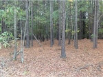 0 Etchison Spur Loganville, GA 30052 - Image 6183998