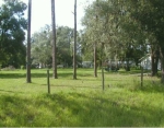 31157 State Road 52 Hwy San Antonio, FL 33576 - Image 6272658