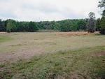 6750 NW HWY 320 Mc Intosh, FL 32664 - Image 6285228