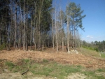 211 Terrace View Drive Acworth, GA 30101 - Image 6443671