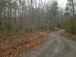 187 Geneva Road Canton, GA 30114 - Image 6521413