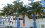 800 W Ave Unit#430 Miami Beach, FL 33139 - Image 6620989