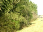 3204 Macland Road Powder Springs, GA 30127 - Image 6707116