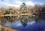 1572 County Road 3450 Concord, TX 77850 - Image 6794638