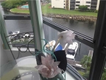 3530 MYSTIC POINTE DR # 906 Miami, FL 33180 - Image 6880115