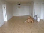 3300 NE 192 ST # 902 Miami, FL 33180 - Image 6889306