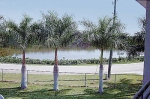 145 Horseshoe Terra Ceia, FL 34250 - Image 6894446
