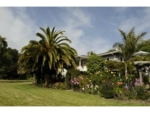 4370 La Honda Rd San Gregorio, CA 94074 - Image 6894571