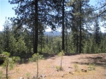 20020 Paoli Ln Weimar, CA 95736 - Image 6894586