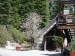 7731 Forest Dr Fish Camp, CA 93623 - Image 6894671